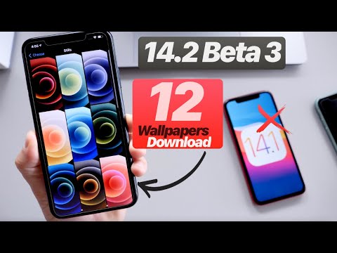 iOS 14.1 Released - iOS 14.2 Beta 3 what’s New? & Download iPhone 12 Wallpapers