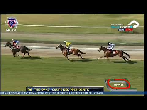 2021.11.07 KMK2 Coupe des Présidents (MRI) - Twist of Fate