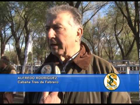 ALFREDO RODRIGUEZ - Cabaña: Nuevo Roble - 3 de Febrero - Huanguelén - 18/09/2013