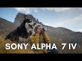 SONY A7IV Mirrorless Camera | First Look Within Rugged Conditions in the Colorado Rockies