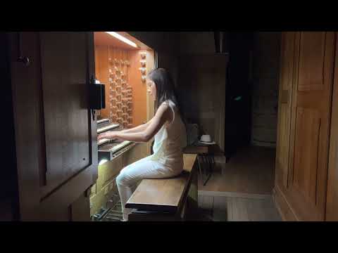 Jan Pieterszoon Sweelinck (1562-1621): Soll es sein (Poolse almande), SWV 330