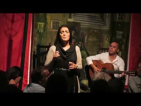 Catarina Rosa - "Basta Coração"