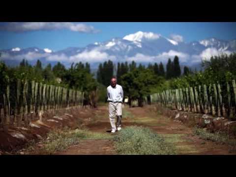 BOOM VARIETAL: THE RISE OF ARGENTINE MALBEC - Official Trailer