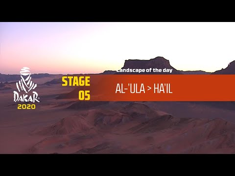 Dakar 2020 - Stage 5 - Landscape of the day
