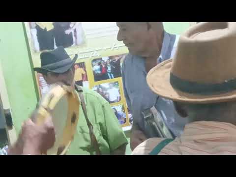 Viva os fuleões Os foliões dos foliões os o leões os fuleões