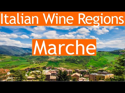 Italian Wine Regions: Marche
