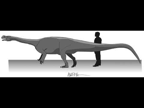 Aardonyx celestae Dinosaur