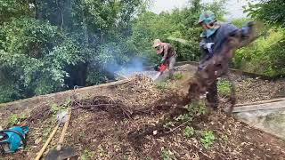 Download lagu RUMAH TUA TERTUTUP SEMAK BELUKAR DIUBAH JADI RUMAH LAYAK HUNI | Full video youtube @1968rescue mp3 Download lagu RUMAH TUA TERTUTUP SEMAK BELUKAR DIUBAH JADI RUMAH LAYAK HUNI | Full video youtube @1968rescue mp3