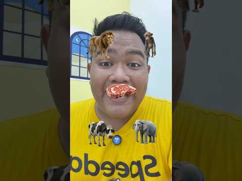 BAGI MAKANAN PADA HAIWAN