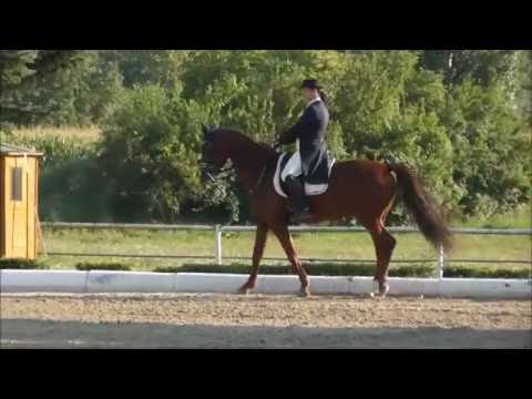 Hannah Arendt und Nora Fehre in einer FEI Junge Reiter Einzel 08/2016