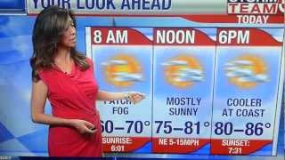 JC Monahan - Pink Summer Dress August 24,2012