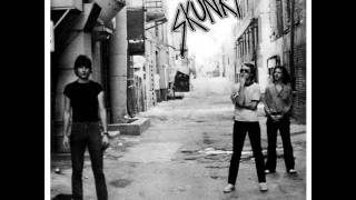 The Skunks - Earthquake Shake (last laugh records) 1979 kbd punk austin texas tx