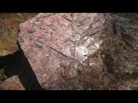 Gustaf Fröding  - Infruset