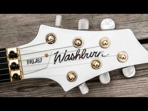 DAVID PALAU - Washburn DP10 & DP100 ( Guitarra Electrica )