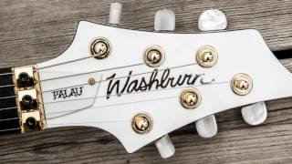 DAVID PALAU - Washburn DP10 & DP100 ( Guitarra Electrica )