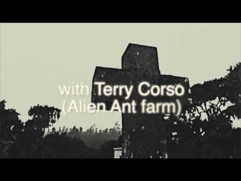 𝗪𝗲 𝗔𝗿𝗲 𝗣𝗜𝗚𝗦 - Wedding Vows (Demo Version) - Official Lyric Video