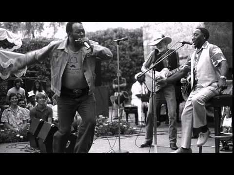 Muddy Waters  ~  ''Electric Mud'' ( album )  1968 Part 1