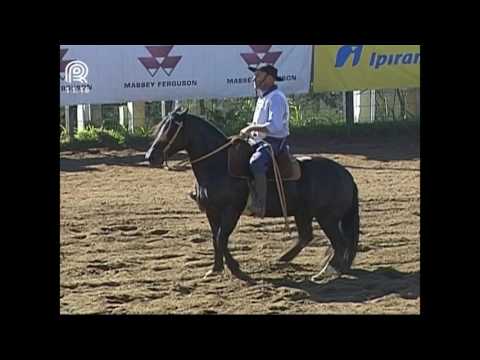 Chapecó – 1° lugar fêmeas – BT Basteira