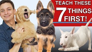 Dog Training: How to Train ANY DOG the Basics | Brain Training For Dogs