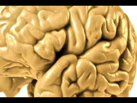 III Simpósio de Neurociências da Grande Dourados UFGD-2012