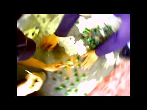 Drzewo - Że życie ma sens (VIDEO SKIT)