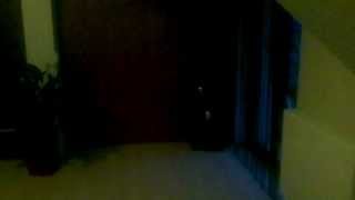 Video thumbnail for American Audio VLP1500 + ESX Signum SX1240 by Kunix