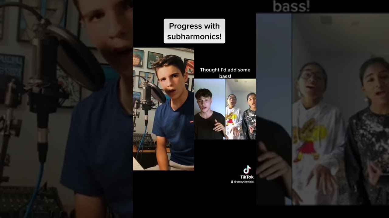 I learned how to use subharmonics ✌️#duet #tonightyoubelongtome #bass #basssinger #harmony #fyp