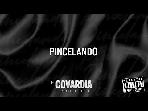 Video thumbnail for Pincelando
