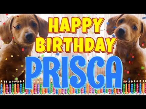 Happy Birthday Prisca! ( Funny Talking Dogs ) What Is Free On My Birthday