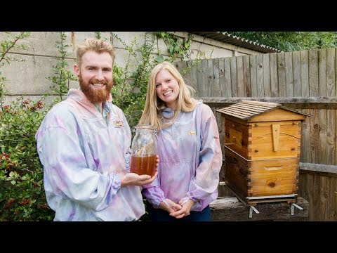 Beekeeper video 2