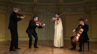 Oslo String Quartet - The Schubert Connection (2L-093-SABD)