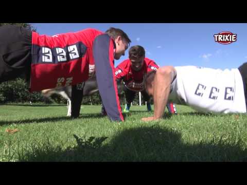 FIT FÜR DAS REWE FINAL FOUR 2017