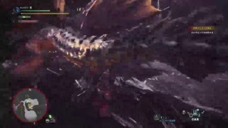 ネルギガ戦、勝てるかな？