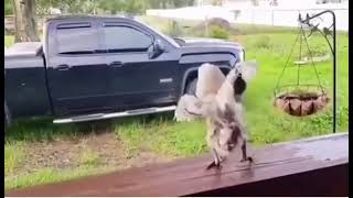 Download lagu Story WA Lucu 30 Detik || part#3 mp3 Download lagu Story WA Lucu 30 Detik || part#3 mp3