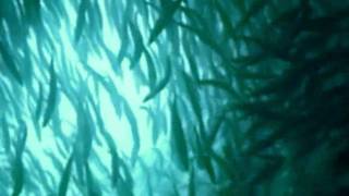 Lo-Fi-FNK-Marching In