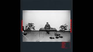 It Probably Matters - Interpol