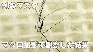 例の布マスクを拡大して観察した結果
