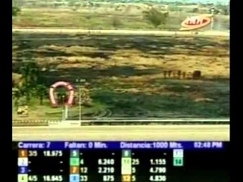 Resumen Viernes, 07 de Febrero de 2014 - Valencia