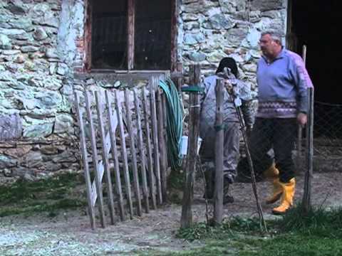 GJAKMARRJA SHQIPTARE FENOMENI ESHTE I PERHAPUR MJAFT EDHE NE KOSOVE LAJM