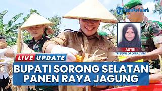 Bupati Sorong Selatan Ikut Panen Raya Jagung Bersama Yonif TP 807, Dorong Swasembada Pangan