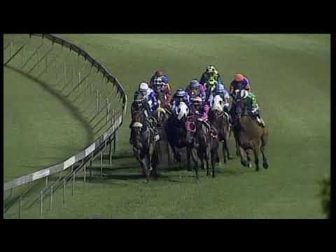 20191220 Hollywoodbets Greyville express clip Race 8 won by PRINCE OF VENICE