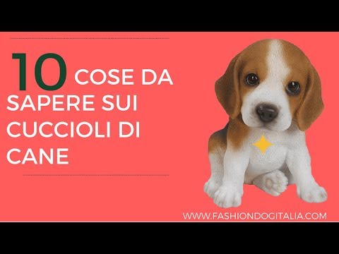 A un gatto che dare vermi Quali parassiti vivono in una vagina