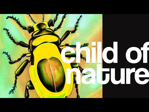 The Beatles Habblet - Child Of Nature (Lyric Video)