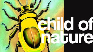 The Beatles Habblet - Child Of Nature (Lyric Video)