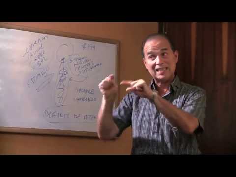 Episodio # 518 Sistema nervioso descontrolado, Alimentación