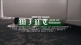 Mint Music Video