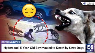 Hyderabad: 5-Year-Old Boy Mauled to Death by Stray Dogs