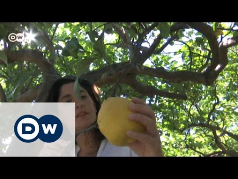 Bella Europa, Made in Sicily | Made in Germany