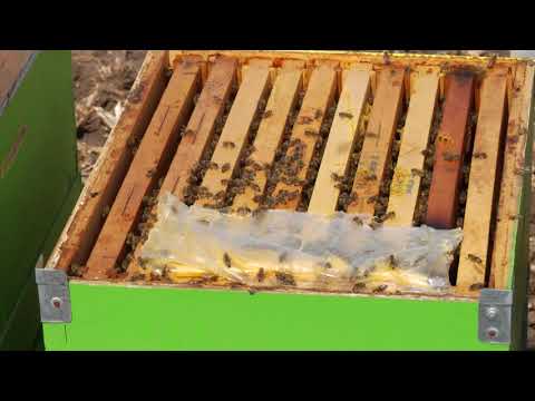 Reč struke ep. 203 13.09.2018. NAJAVA