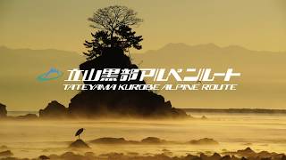 動画1